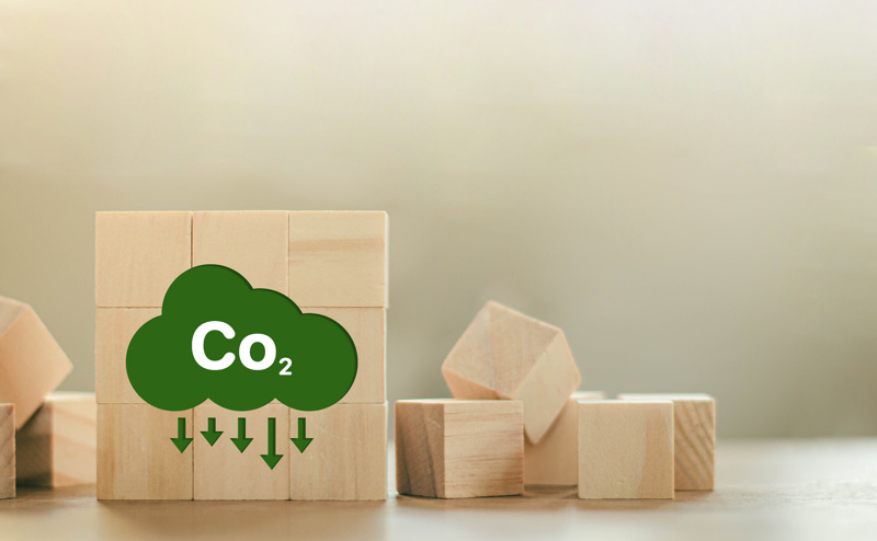 Wooden building blocks with Co2 reduction logo