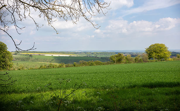 Landscape view of Berwick St John, Wiltshire.