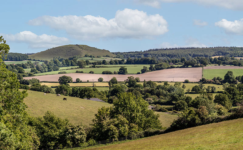 Landscape view of hills and fields in Wiltshire.